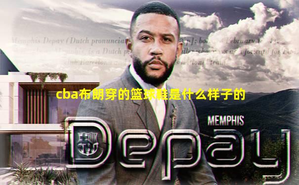cba布朗穿的篮球鞋是什么样子的