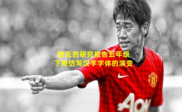 姓氏的研究报告五年级下册仿写汉字字体的演变