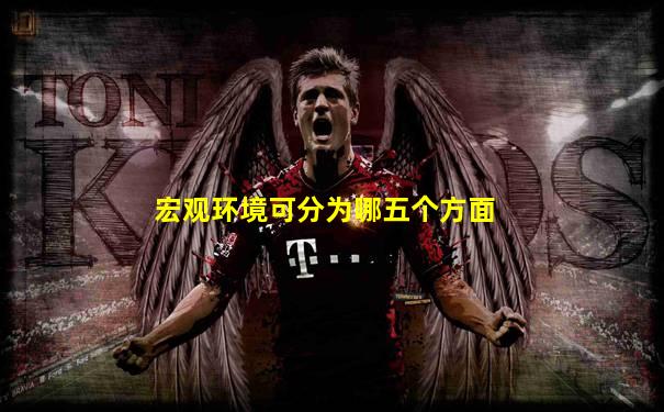 宏观环境可分为哪五个方面