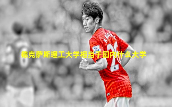 德克萨斯理工大学相当于国内什么大学