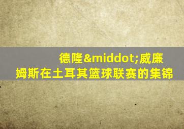 德隆·威廉姆斯在土耳其篮球联赛的集锦