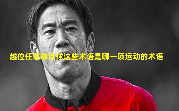 越位任意球点球这些术语是哪一项运动的术语