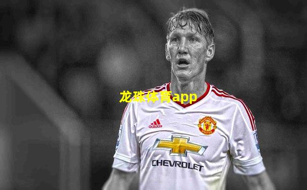 龙珠体育app
